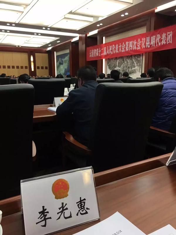 李老师在海埂会堂列席云南省第十二届人民代表大会第四次会议